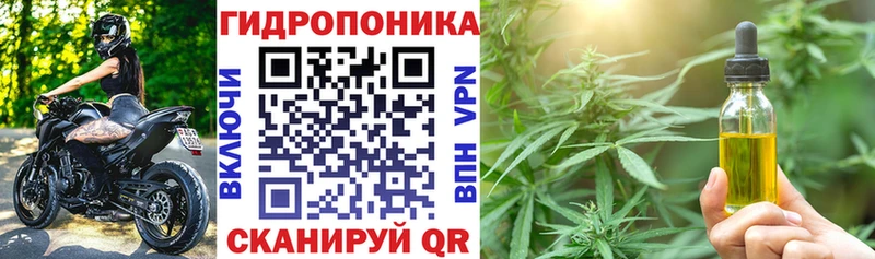 Бошки Шишки Amnesia  Купить  Дмитриев 